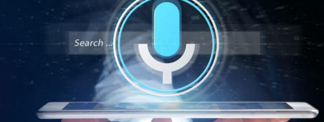 The Future of Voice Search in WebApp Development