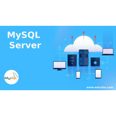 MySQL Server